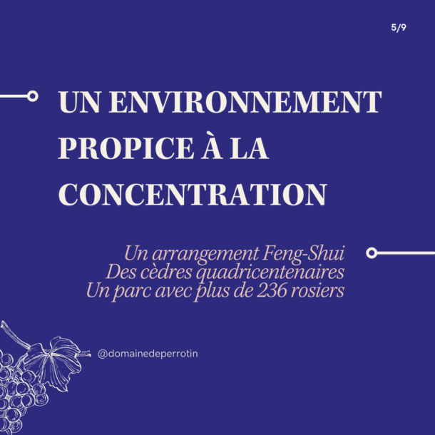 Six points sur la puissance des séminaires résidentiels au vert ! - Domaine de Perrotin